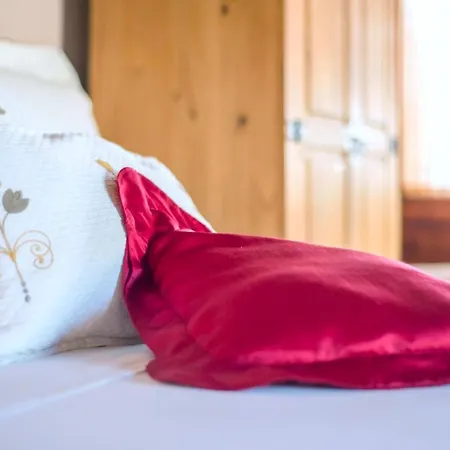 公寓 La Finquita 21 *